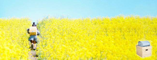 木のたからばこが当たる、Instagramキャンペーン開催中