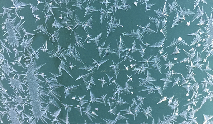 デザインの土台は北欧の自然