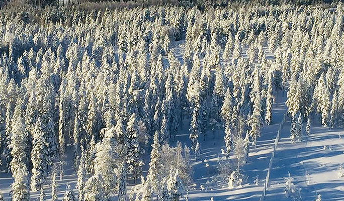 デザインの土台は北欧の自然