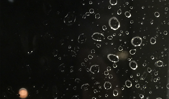 デザインの土台は北欧の自然