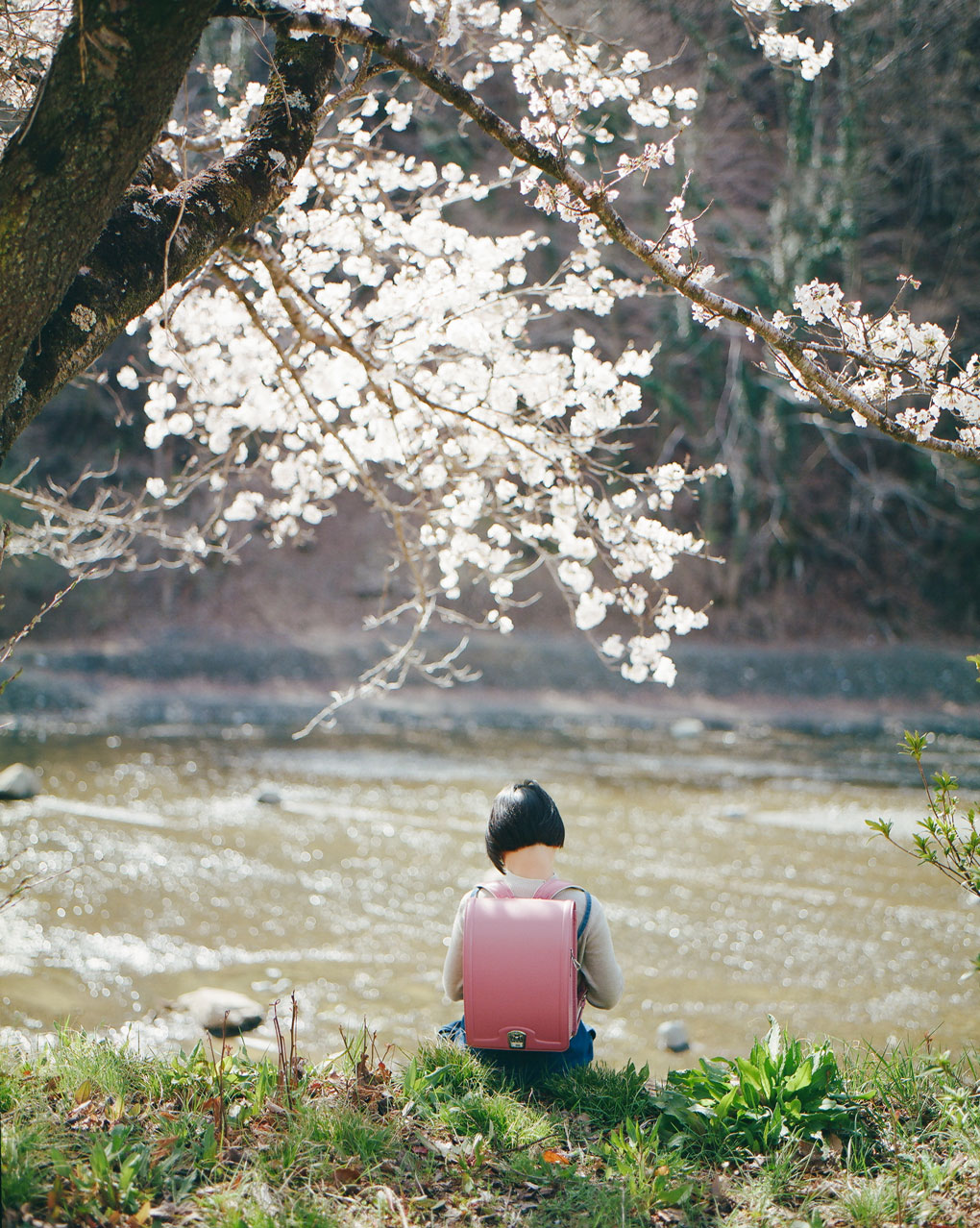 atara_sakura 道草 MICHIKUSA 軽くて、本革。アタラのランドセル