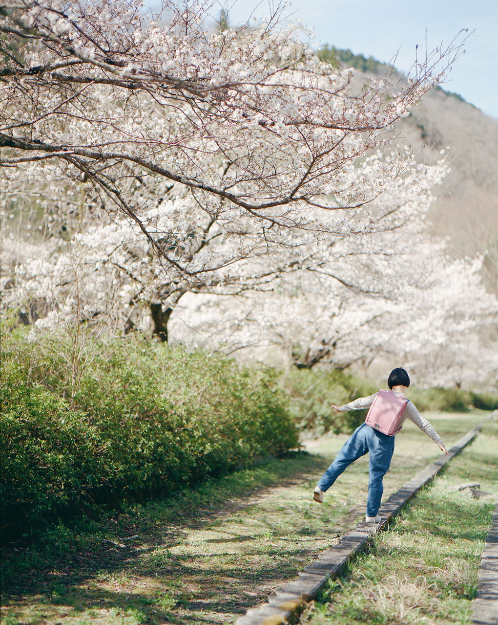 atara_sakura 道草 MICHIKUSA 軽くて、本革。アタラのランドセル