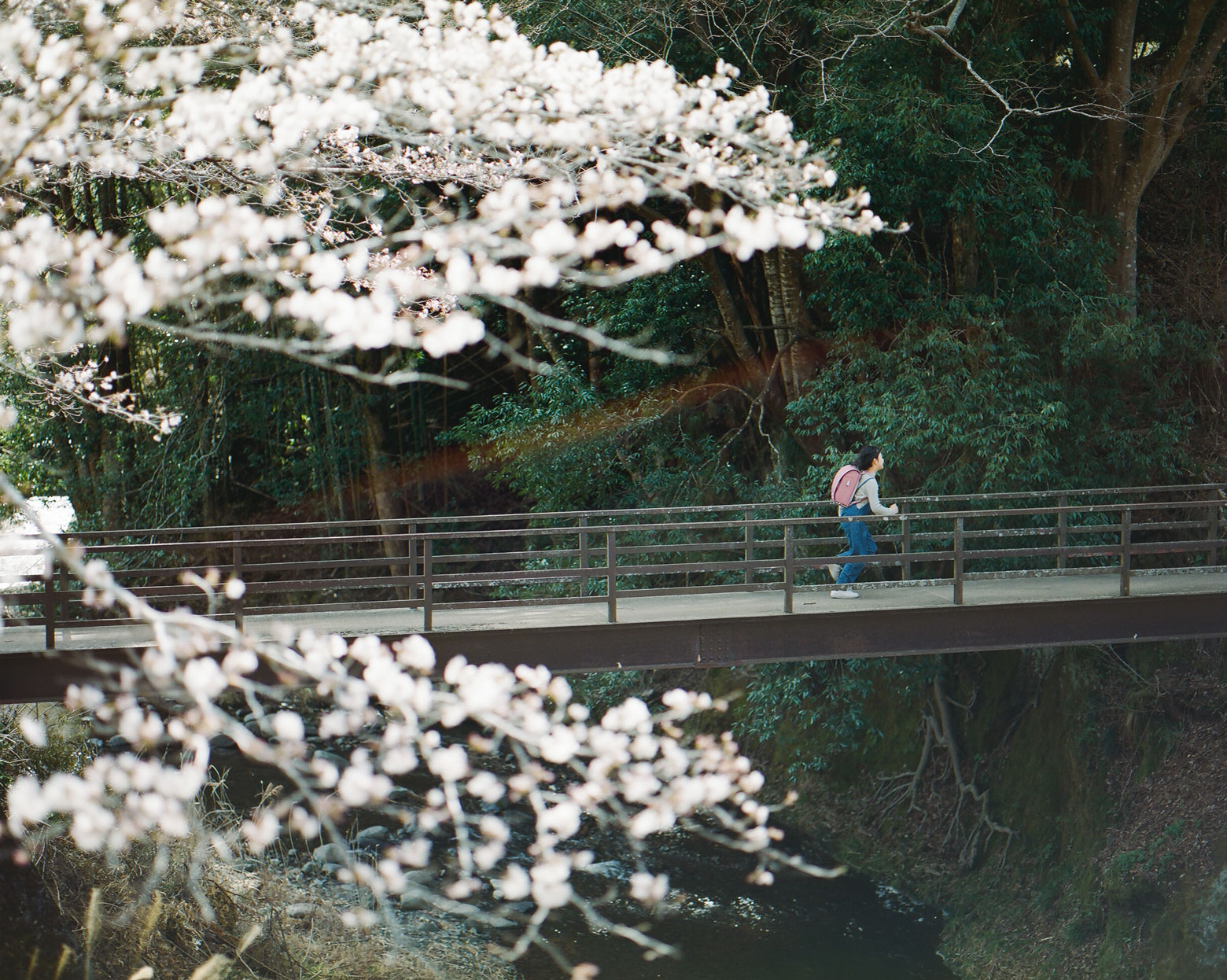 atara_sakura 道草 MICHIKUSA 軽くて、本革。アタラのランドセル