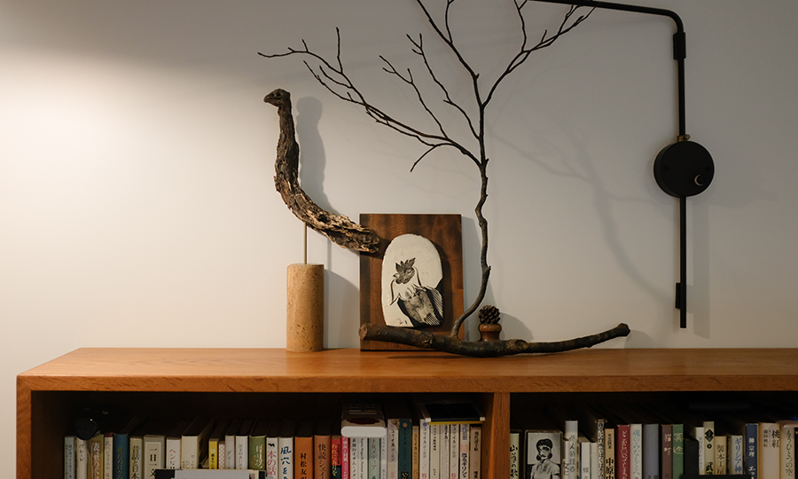 本棚の上に飾られた木など