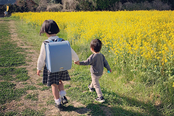 菜の花を背景に兄弟で手を繋いで歩いているところ